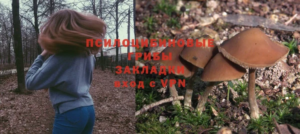дмт Верхний Тагил