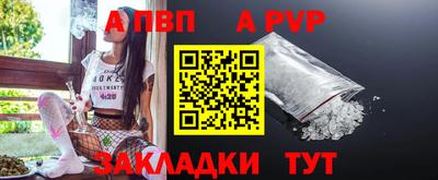 стафф Донецк